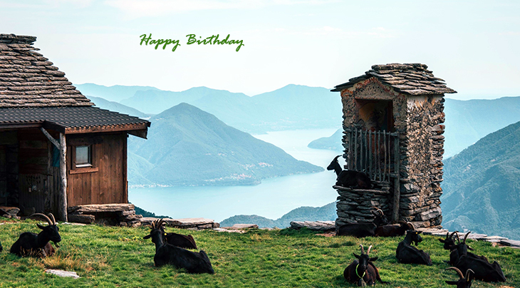 happy birthday wishes, birthday cards, birthday card pictures, famous birthdays, goats, farm animals, ticino, lake maggiore, switzerland