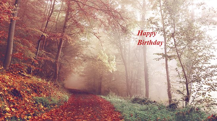 happy birthday wishes, birthday cards, birthday card pictures, famous birthdays, autumn leaves, fall colors, red, forest, orange