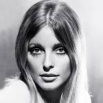 sharon tate, january 24th birthday, american model, actress, movies, the wrecking crew, valley of the dolls, 1960s, the fearless vampire killers, dont make waves, eye of the devil, manson family victim