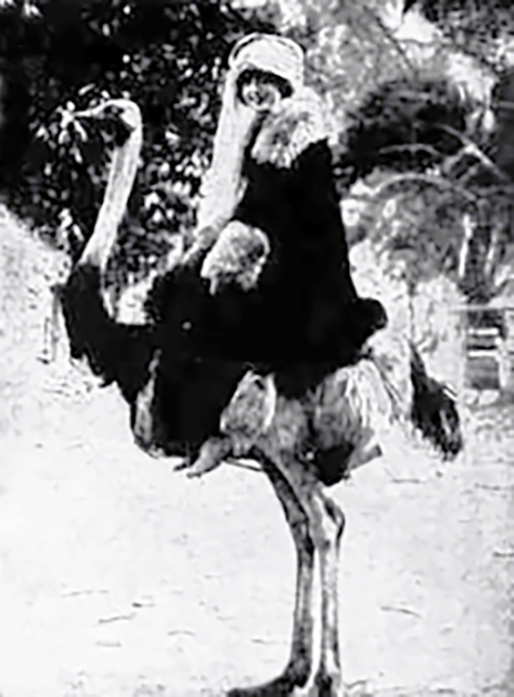margarita fischer, american actress, silent movies, film star, los angeles, hollywood, ostrich, unusual pets, april fool, odd, funny, strange, weird