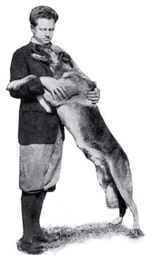 strongheart, 1921, movie dog, silent films, german shepherd, police dog, laurence trimble, animal trainer, writer, silent movies, scenarios, screenwriter, director, 1920s movies, the silent call, brawn of the north, the love master, white fang