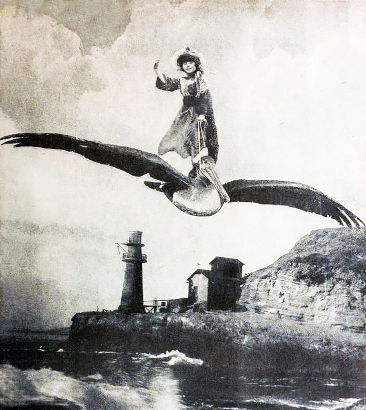 baby peggy, pete the pelican, 1924, silent movies, captain january, actress, film stars, odd, unusual, girl flying a bird, april fool