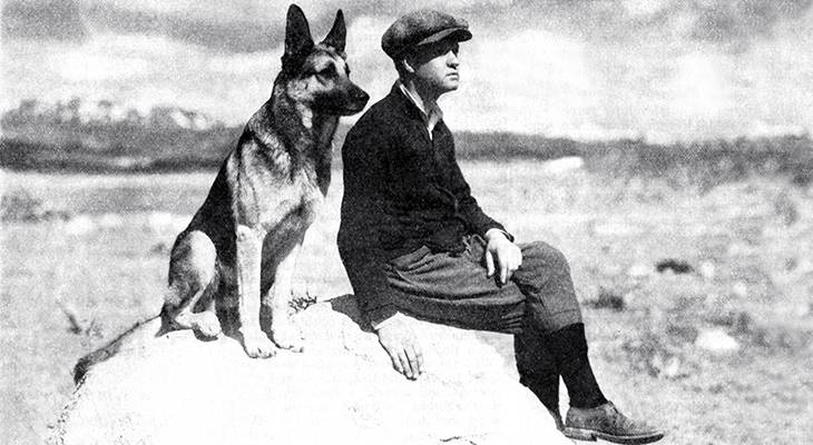 strongheart, 1921, movie dog, silent films, german shepherd, police dog, laurence trimble, animal trainer, writer, silent movies, scenarios, screenwriter, director, 1920s movies, the silent call, brawn of the north, the love master, white fang