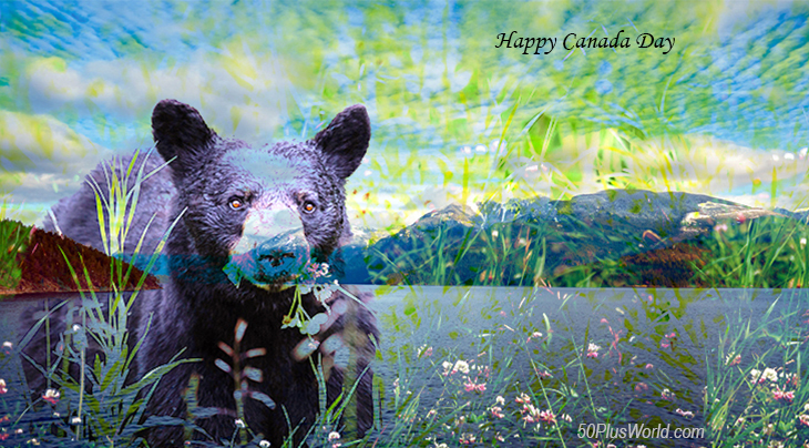 canada day, dominion day, canadian, provinces, nature, scenery, british columbia, earls cove, lake, wild animals, black bear