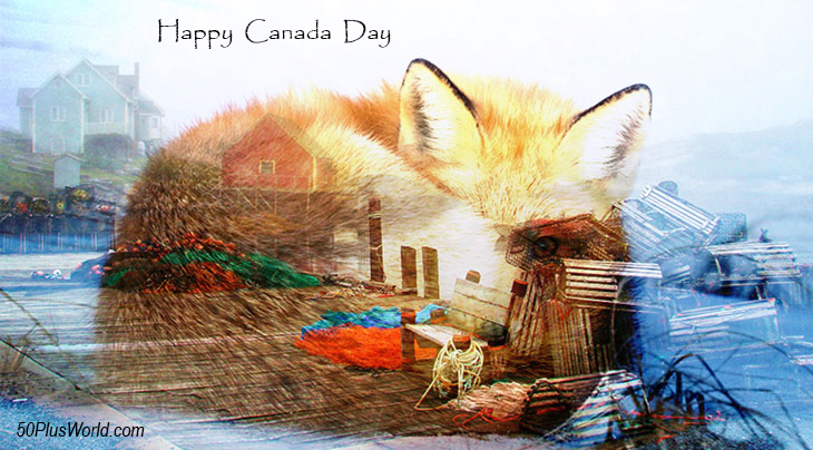 canada day, dominion day, canadian, provinces, flora, fauna, nature, scenery, wildlife, maritimes, atlantic canada, eastern canada, east coast, nova scotia, peggys cove, lobster traps, fox, wild animals