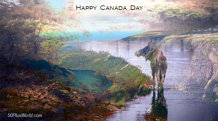canada day, dominion day, canadian, provinces, flora, fauna, nature, scenery, wildlife, maritimes, atlantic canada, eastern canada, newfoundland, labrador, gros morne national park, moose