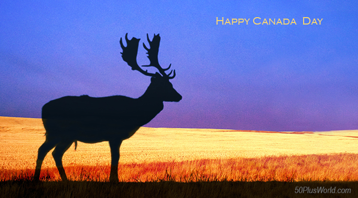 canada day, dominion day, canadian, provinces, nature, scenery, saskatchewan, northern canada, wheat fields, wild animals, elk, deer