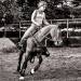horseback riding, horse riding, seniors, older adults, elderly, parents, mental health, older riders, horses, riding lessons, riding safety, older woman