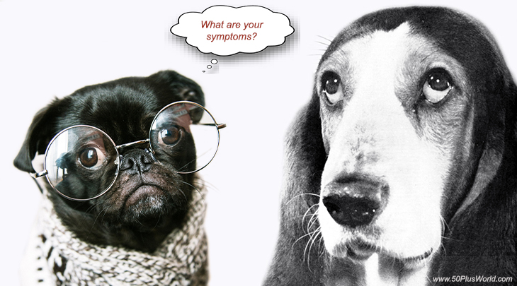 pug, basset hound, dog health issues, dogs, canine diseases, treatments,