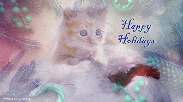 happy holidays, greeting card, seasonal wishes, non-denominational, kitten, cat, santa hat, holly berries, candy cane, pine cone