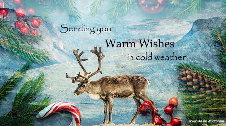 warm wishes, greeting card, winter holidays, reindeer, jotunheimen national park, holly berries, candy cane, pine cone