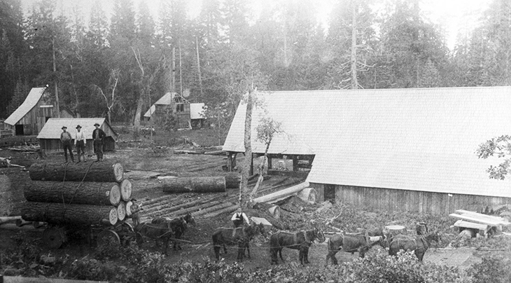 m b vilas sawmill, 1900s, northern california, viola sawmill, b f loomis photographer, benjamin franklin loomis, historical california, 