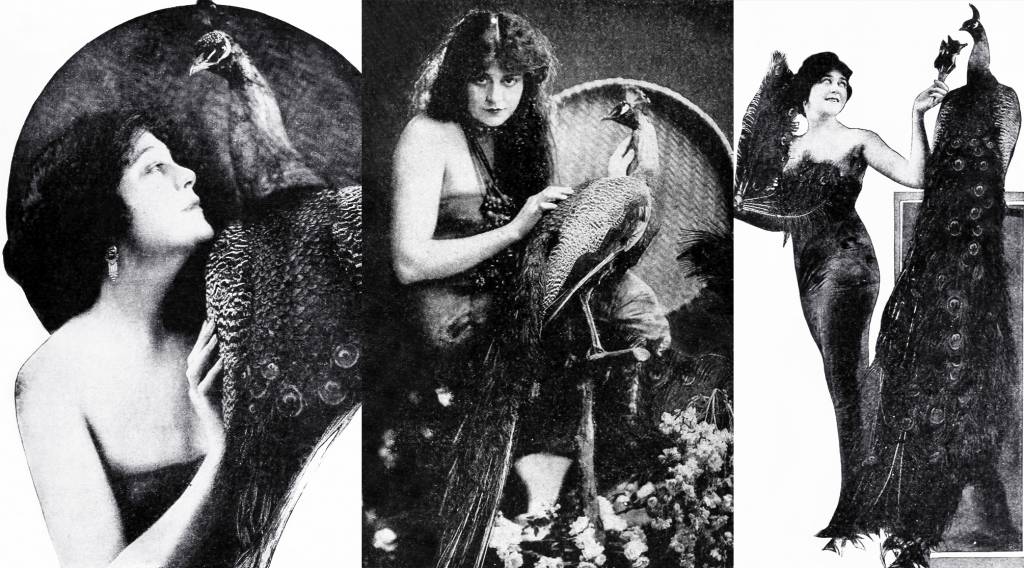 virginia pearson, american actress, silent films, movie star, peacock woman, pet bird, 1918, 1919