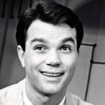 darryl hickman, child actor, tv shows, the many loves of dobie gillis, movies, the star maker, the grapes of wrath, men of boys town, a kiss for corliss, the human comedy, assignment in brittany, henry aldrich boy scout, salty orourke, rhapsody in blue, leave her to heaven, the strange love of martha ivers, black gold, alias nick beal, movies, tea and sympathy, the tingler,